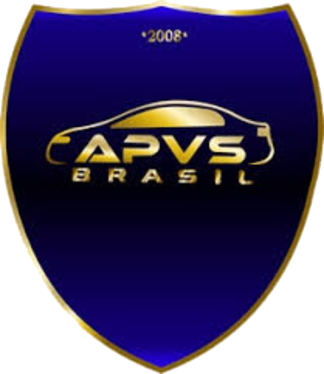 APVS Brasil